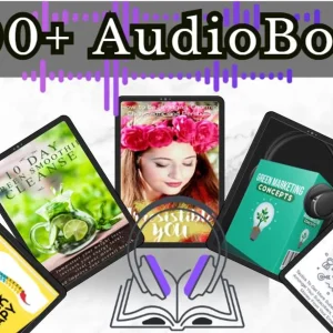 500+ Audio Books Bundle