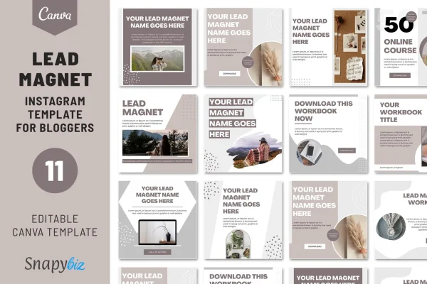 Lead Magnet Instagram Template, Lead Magnet Instagram Post, Canva Lead Magnet, Instagram Funnel Design, Social Media Magnet, Lead Generator